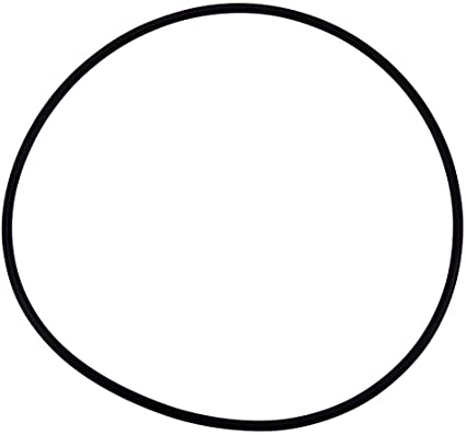 Pentair 071422 O-ring Center Core, Easy Clean, NOTE: not body o-ring