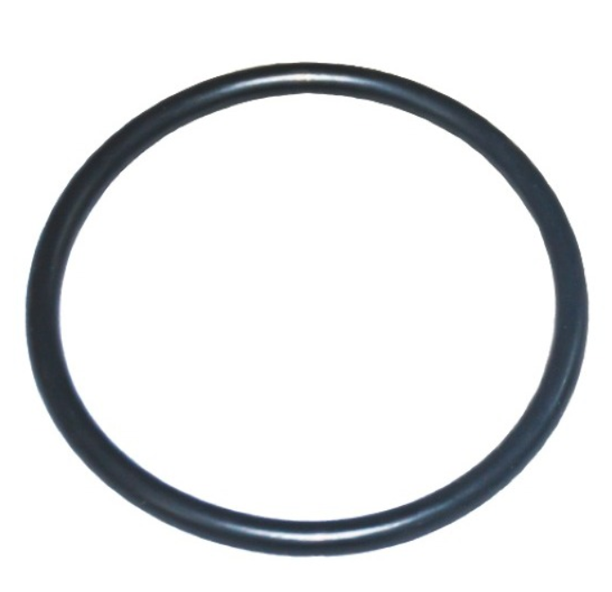 Pentair 355051425 ORing for S7MD60 / S7MD72 / S7D75