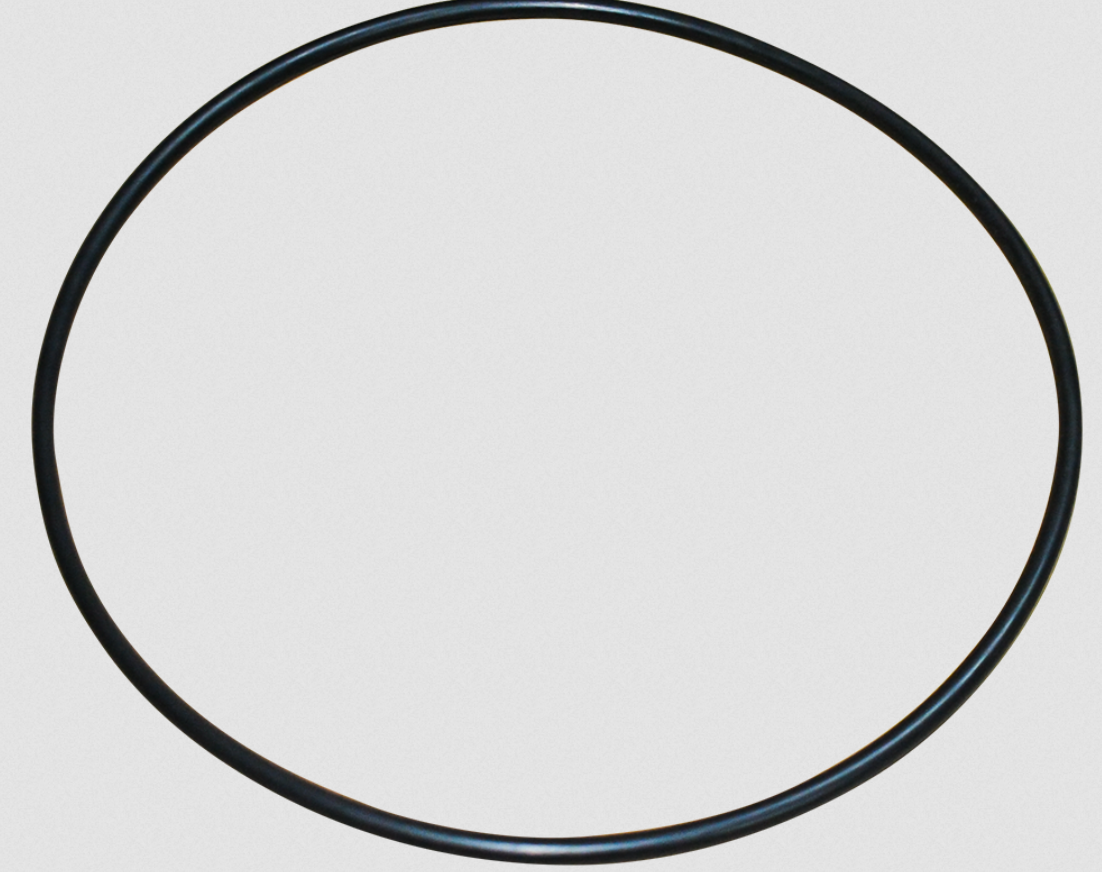 87300400 O-Ring, Body for 188614 EasyClean Pool Filter