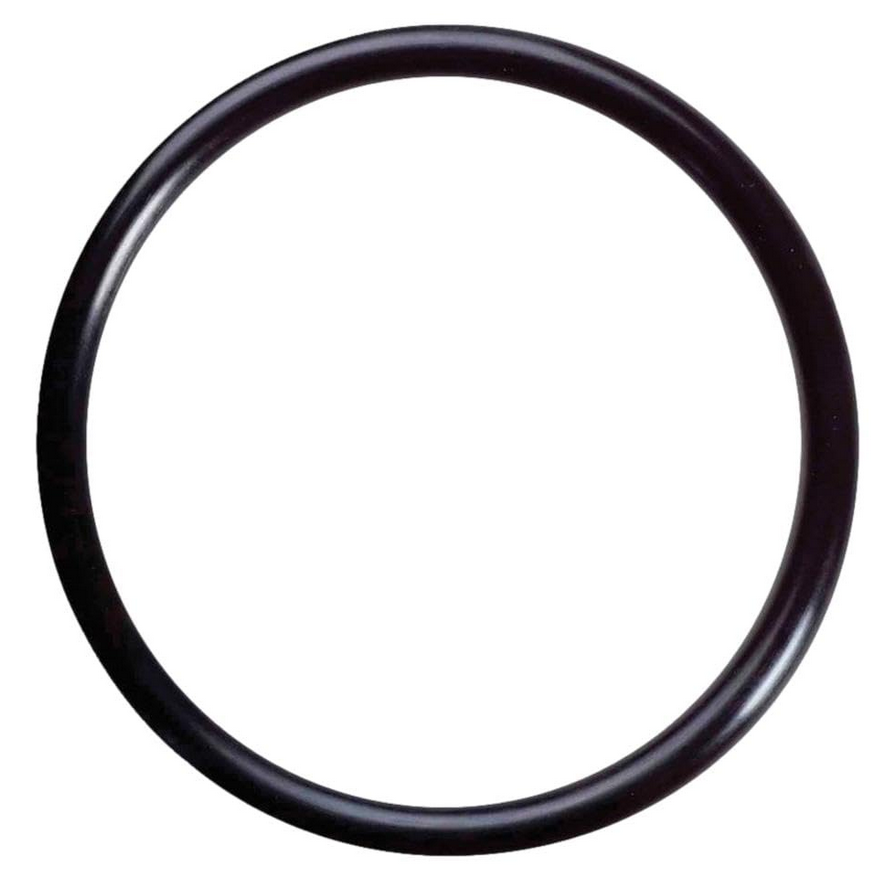 U9-374 O-Ring for Diffuser (For Max-E-ProGlas, Dyna-GlasMaxProWaveJet)