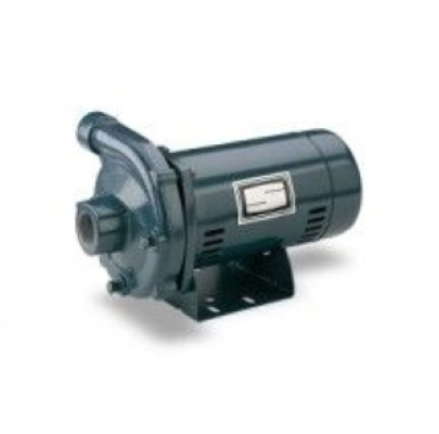 Pentair Sta-Rite J-Series Centrifugal Pump